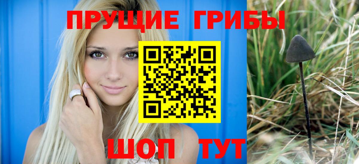 Галлюциногенные грибы Psilocybine cubensis  Вход с VPN  Галлюциногенные грибы Psilocybe  Набережные Челны 